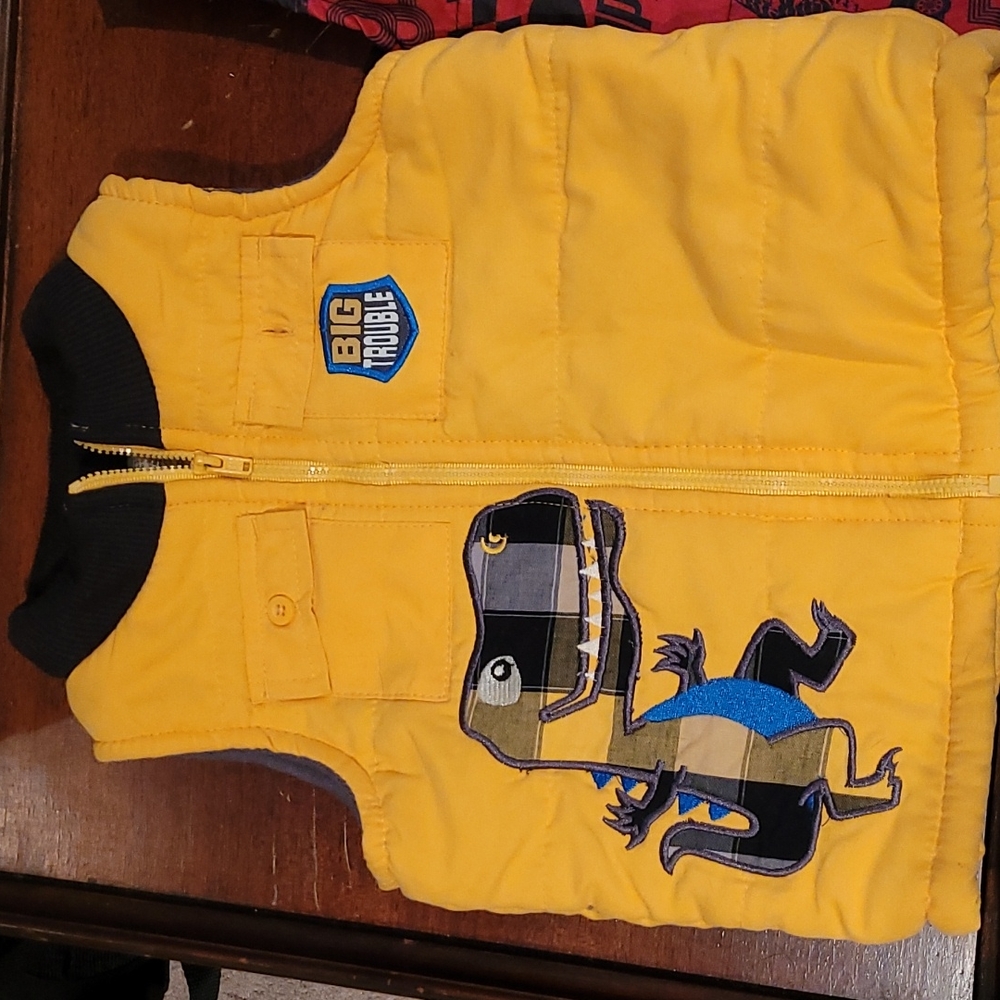 Set of 3 Boys Winter Vests